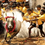 ”ஜல்லிக்கட்டு பிரியர்களுக்கு அதிர்ச்சி செய்தி! 7 மாதங்களுக்கு தடை விதித்த உயர்நீதிமன்றம்!