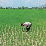 PM Kisan