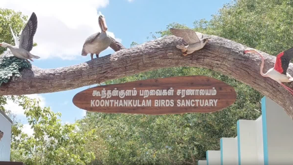 Nellai