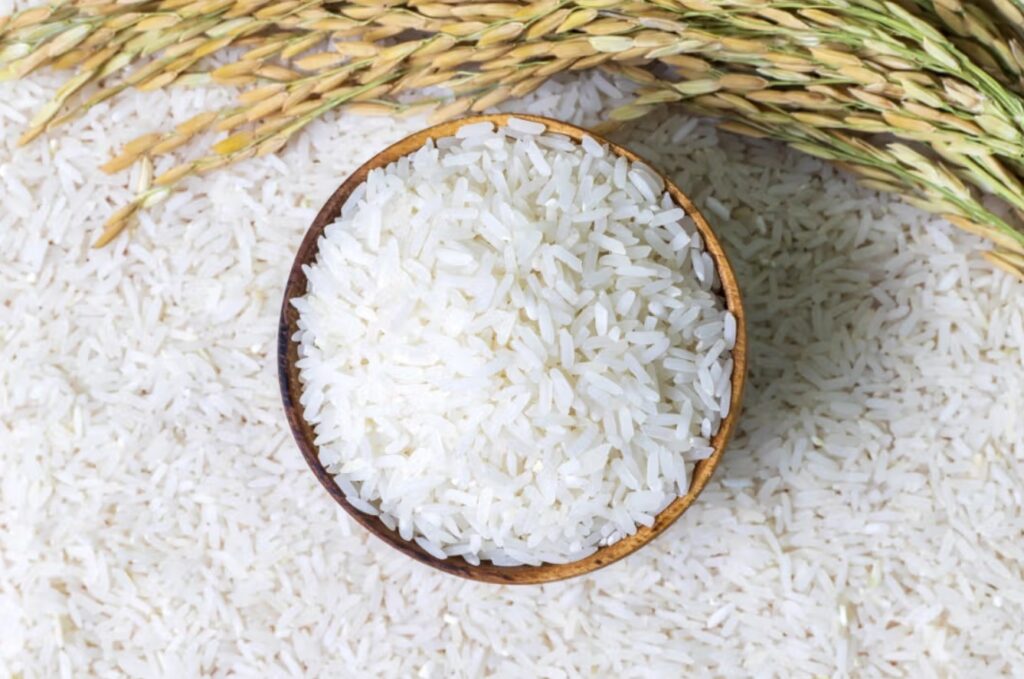 Rice