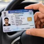 Driving Licences