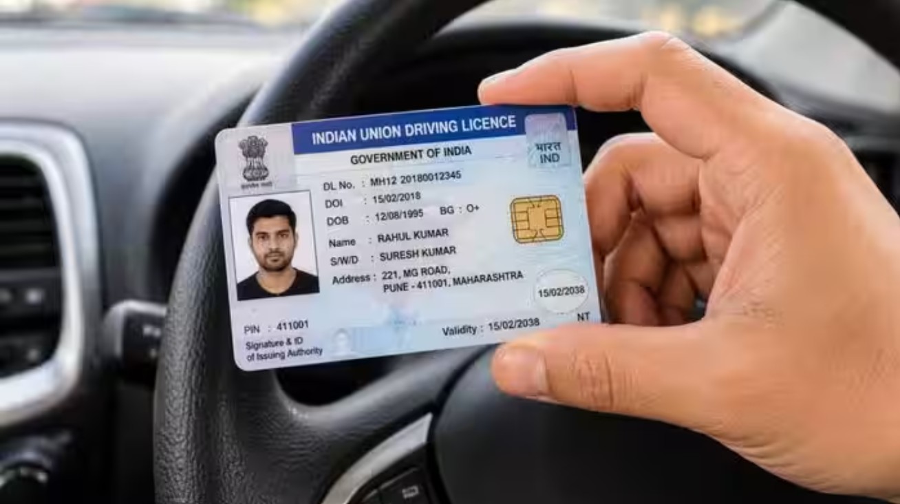 Driving Licences
